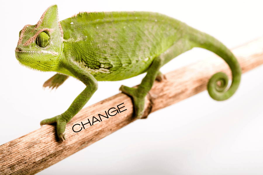 Coaching-programme-images-website-1